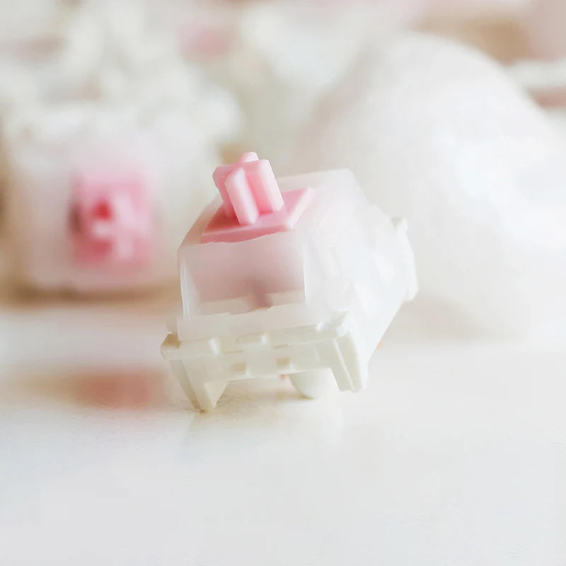 Loopy Switch (Packs of 10) ฟรี! Tube Packaging เมื่อสั่งซื้อ 70 ตัวขึ้นไป