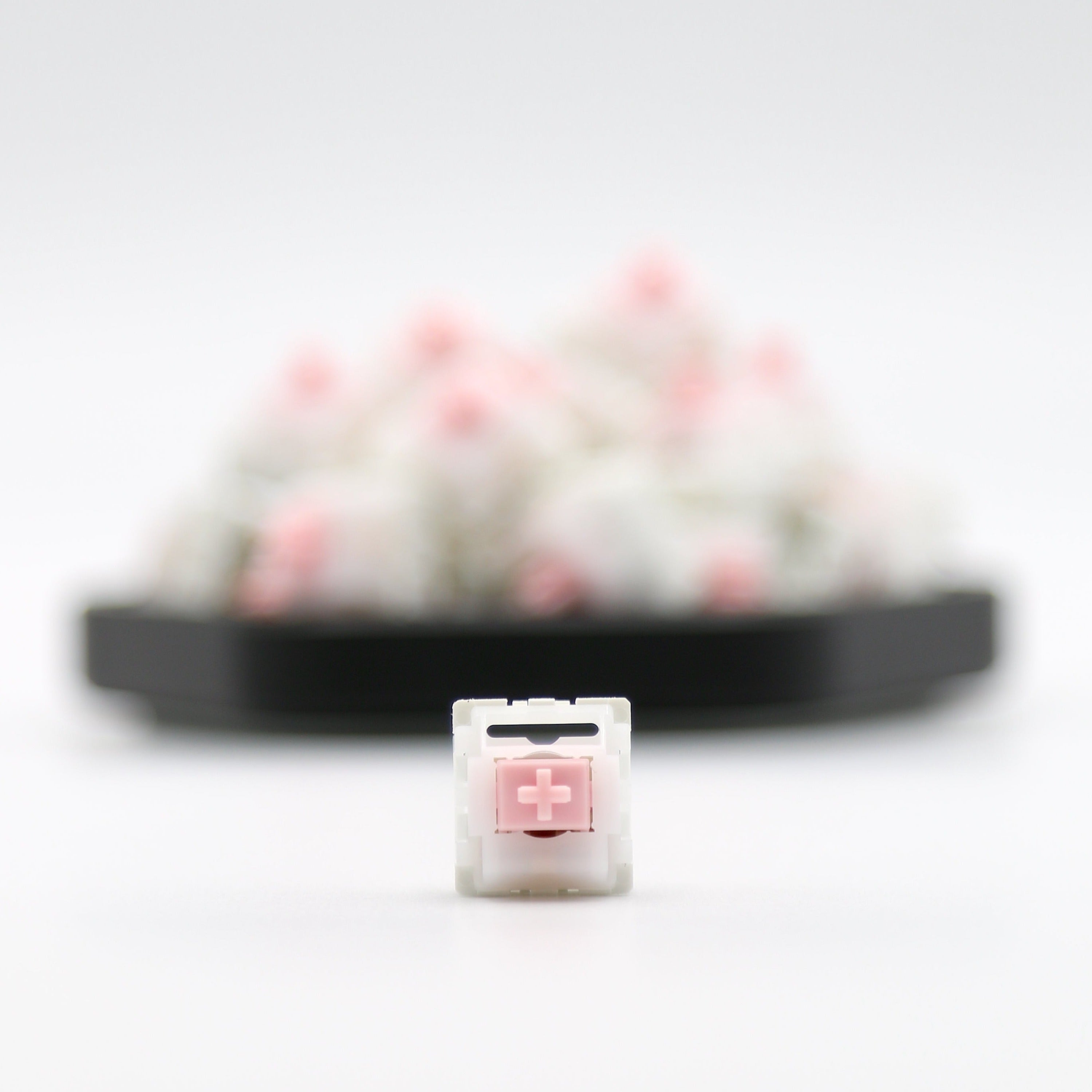 Loopy Switch (Packs of 10) ฟรี! Tube Packaging เมื่อสั่งซื้อ 70 ตัวขึ้นไป
