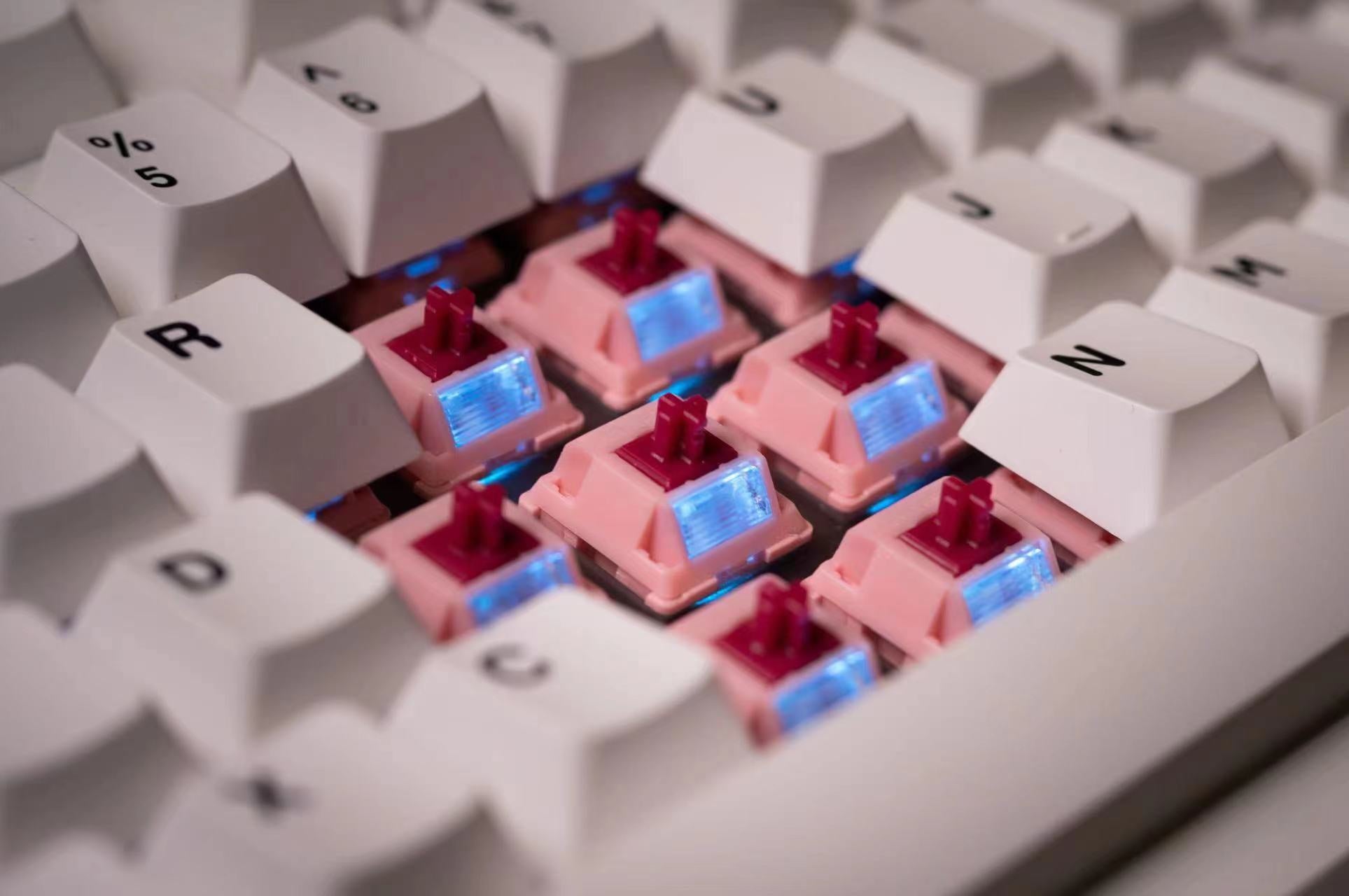 Sarokeys x Geon Strawberry Wine V2 Switch (Packs of 10)