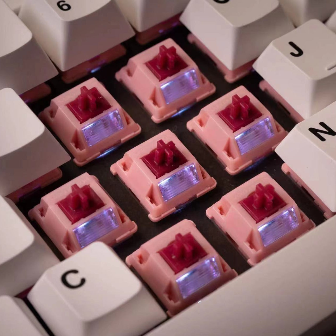 Sarokeys x Geon Strawberry Wine V2 Switch (Packs of 10)
