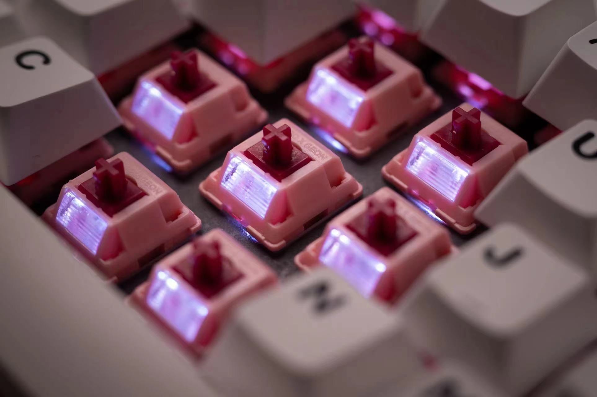 Sarokeys x Geon Strawberry Wine V2 Switch (Packs of 10)