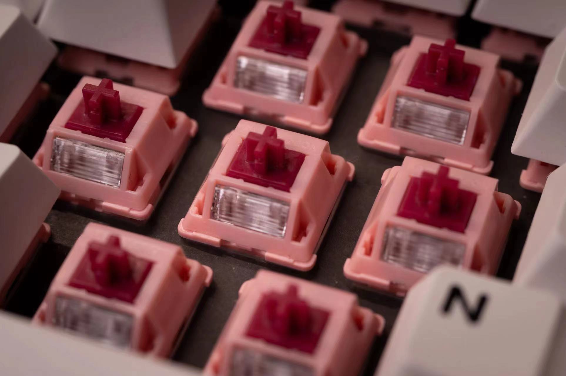 Sarokeys x Geon Strawberry Wine V2 Switch (Packs of 10)
