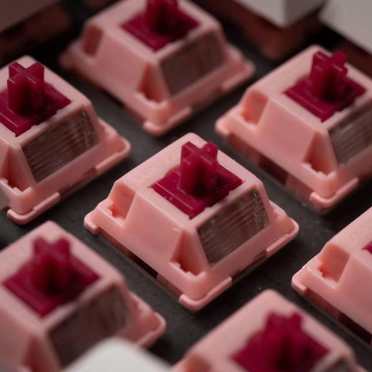 Sarokeys x Geon Strawberry Wine V2 Switch (Packs of 10)