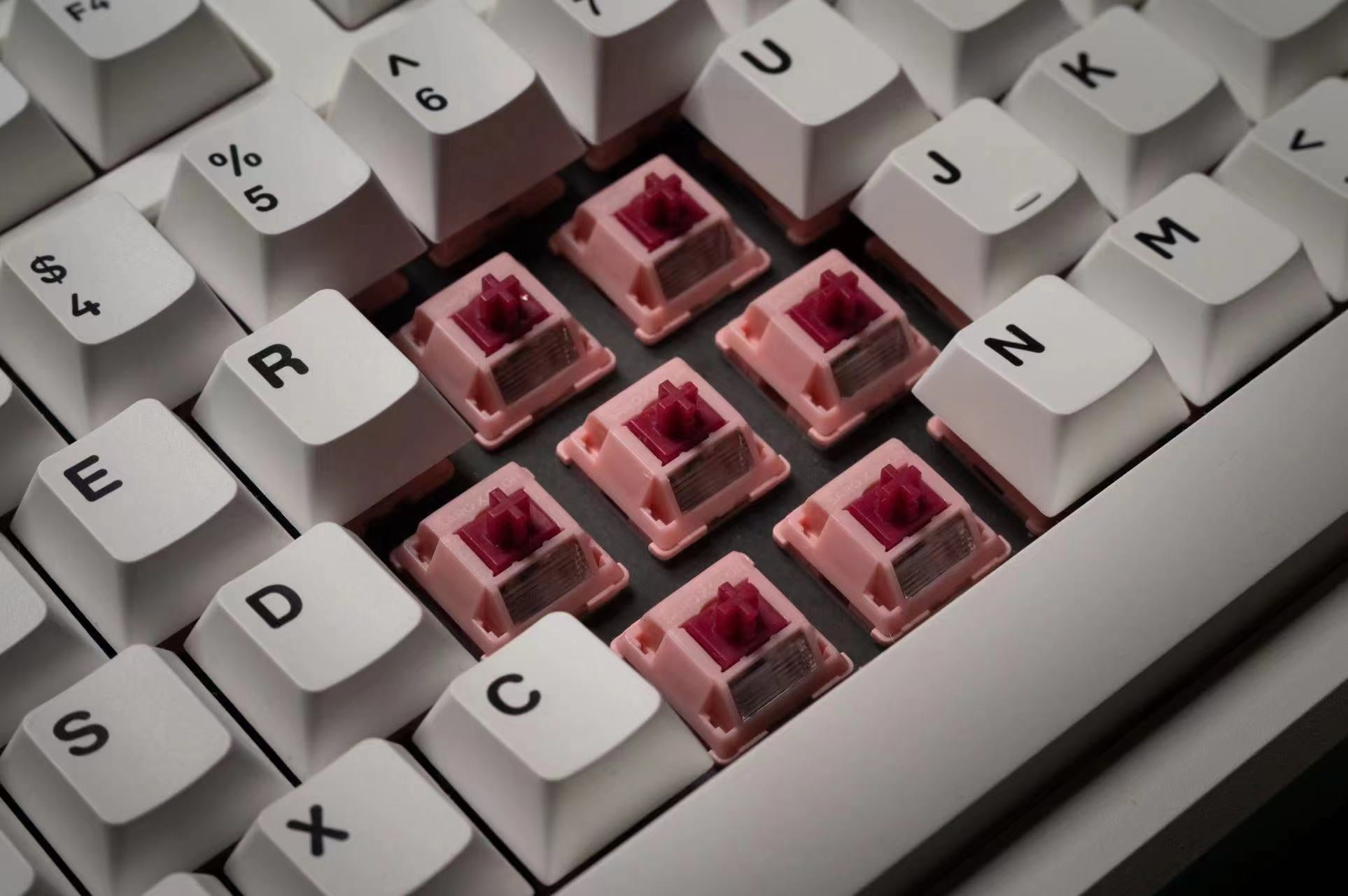 Sarokeys x Geon Strawberry Wine V2 Switch (Packs of 10)