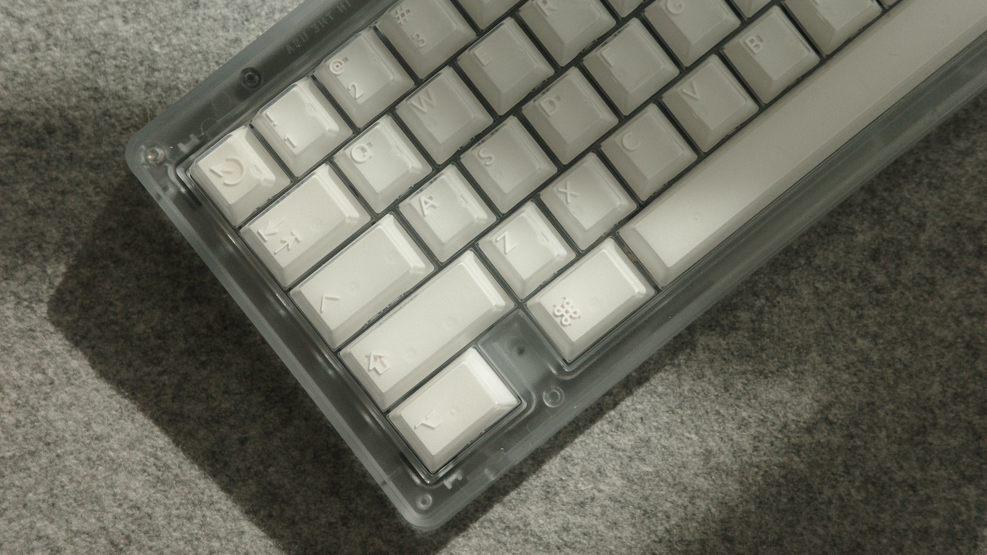 PBTfans X-ray