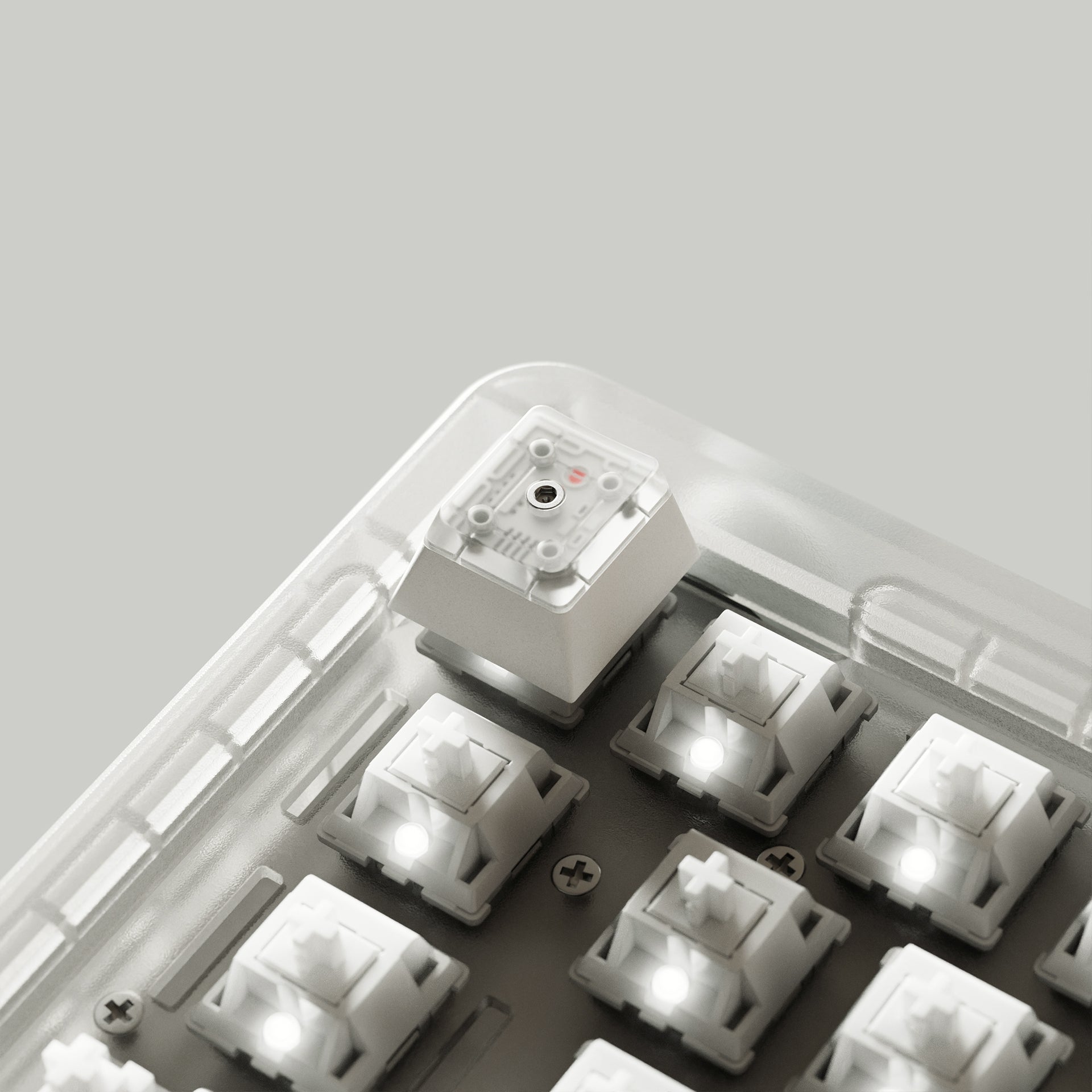 PBTfans X-ray