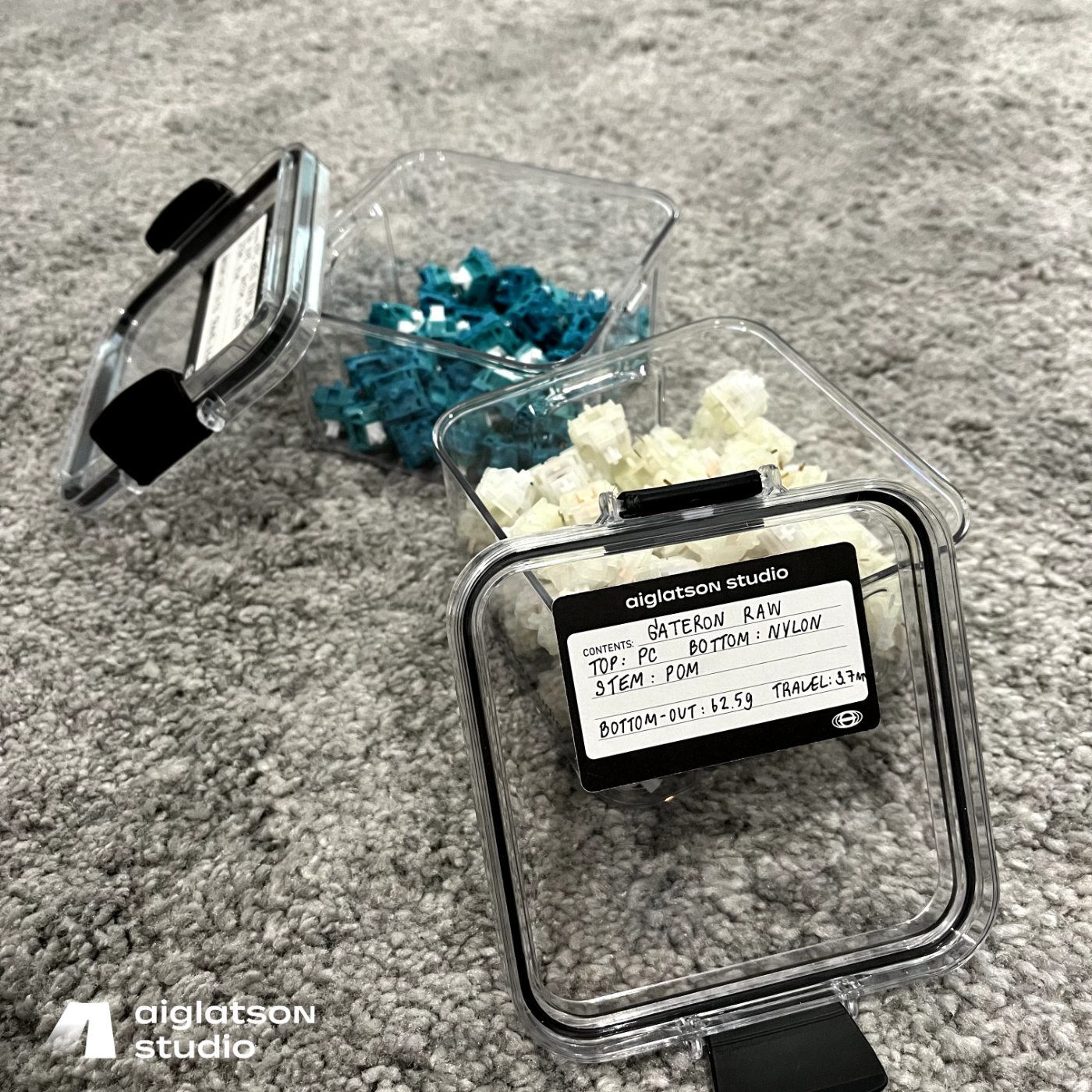 AGS Switch Storage Box