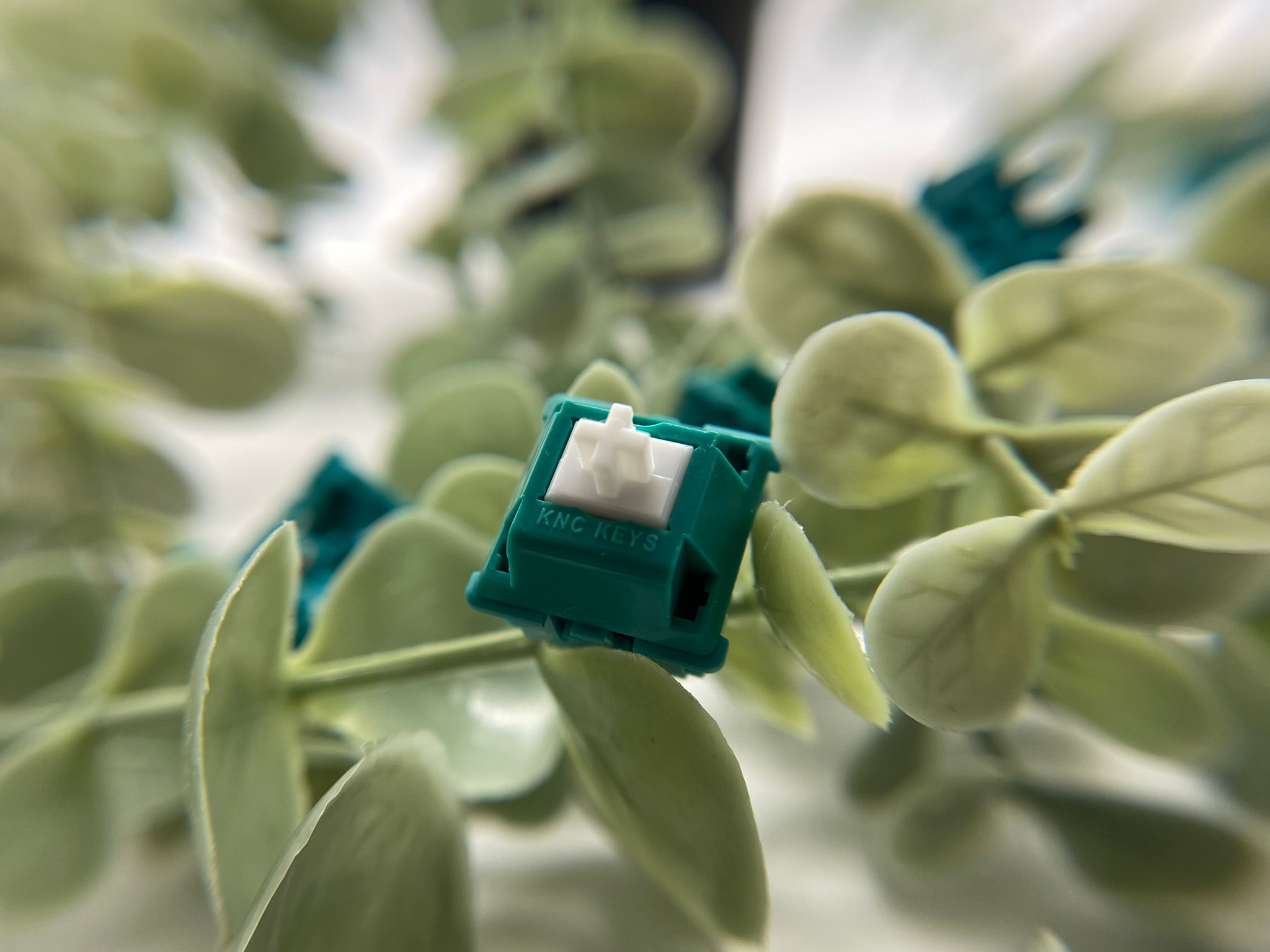 KNC Keys Green Jacket v1.5 Switches (Packs of 10)