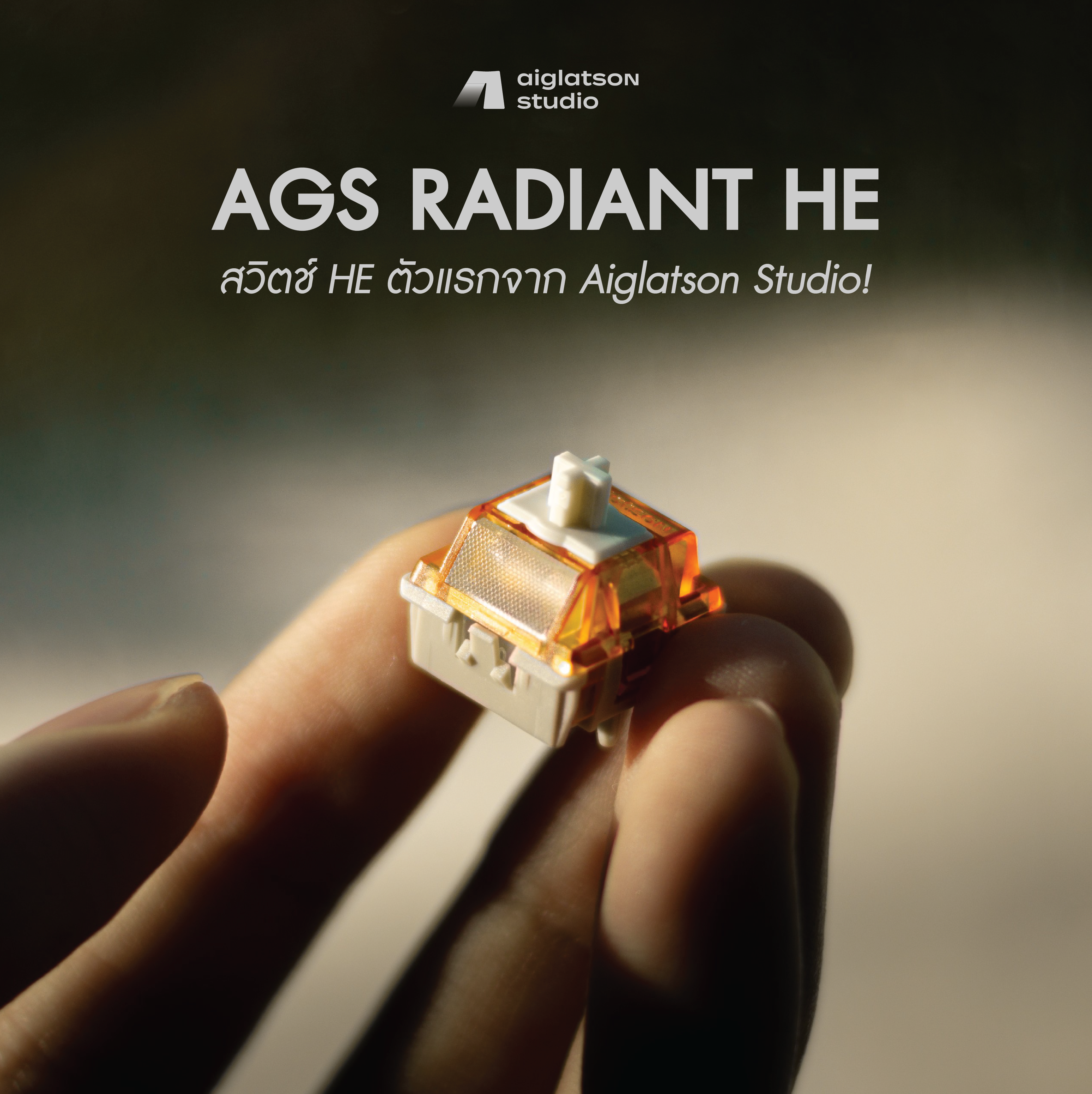 (HE) สวิตช์ AGS Radiant HE (แพค 10/11 ตัว)